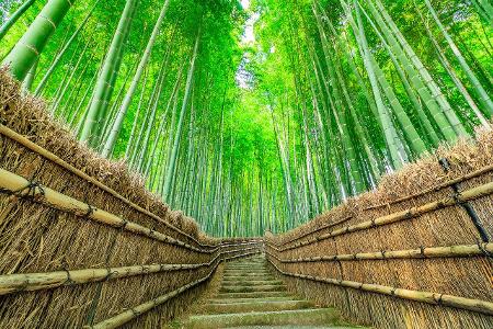 ThinkstockPhotos-866028874.jpg