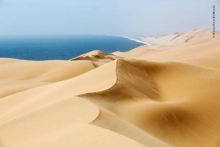 © Orlando Fernandez Miranda - Wildlife Photographer of the Year.jpg