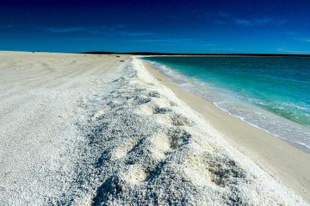 40 km an der westaustralischen Shark Bay entlang schlängelt sich der Shell Beach. Die Muscheln schimmern zwar herrlich in de...