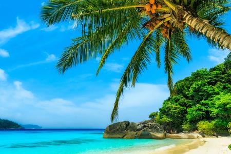 Palmen, Sand und Meer: An diesen Traumstränden möchte wohl jeder Sonnenanbeter seinen Sommerurlaub verbringen.