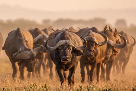 Best _Countries_10_South_Africa.jpg