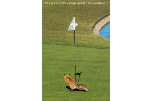 Douglas-Croft_Must-Have-Three-putted_00000012.jpg