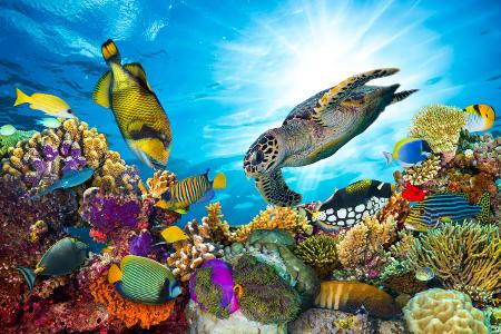 GettyImages-508960998.jpg