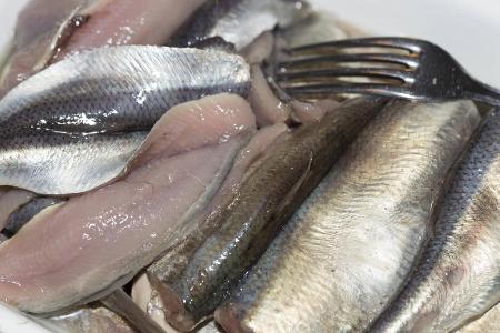 Hering typisch Schweden Surströmming