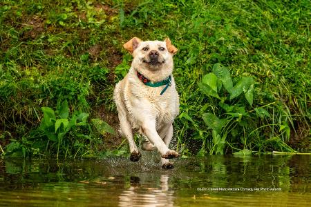 John-Carelli_Look-Mom--I-Can-Walk-on-Water_00001044.jpg