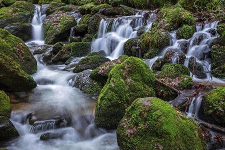 Beeindruckende Wasserfälle in Deutschland Gertelbachfälle