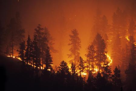 GettyImages-157384116.jpg