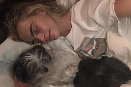 Cara Delevingne (27) nimmt ihre Vierbeiner gerne mit ins Bett und kuschelt mit ihnen eine Runde. Die Hunde Walter Gene und O...