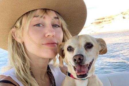 Miley Cyrus (26) gehört wohl zu den größten Tierliebhabern. Die Hunde Happy, Penny Lane, MaryJane, Dora und Barbie hat sie u...