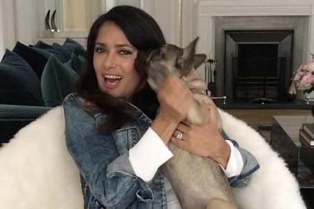 Salma Hayeks (53) Hunde sind ganz schön frech: Nicht nur eine Hochzeit sollen sie 