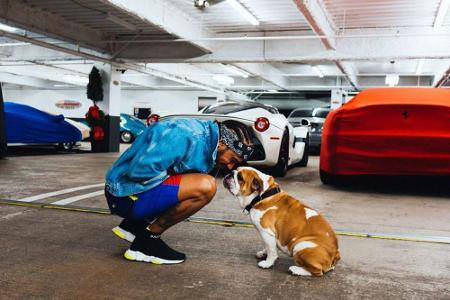Lewis Hamilton (34) verbringt seine Freizeit nicht nur gerne mit Autos, sondern auch mit seinem Hund Roscoe. Sein ständiger ...