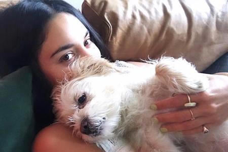 Vanessa Hudgens (30) liebt Selfies mit ihrem Hund. Der süße Vierbeiner heißt Darla und wird von der Schauspielerin meistens ...