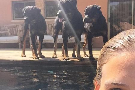 Model Bar Refaeli (34) wird beim Schwimmen bewacht. Ihre Hunde stehen am Beckenrand und halten Ausschau. Refaeli freut sich,...
