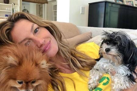 Model Gisele Bündchen (39) ist ebenfalls ein absoluter Hunde-Fan. Sie hat drei Stück zu Hause: Lua, Scooby und Fluffy. Mit F...