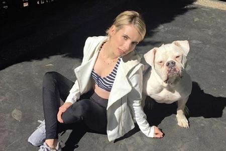 Auch Emma Roberts (28) ist ebenfalls auf den Hund gekommen. Fun Fact: Sie spielte 2009 die Hauptrolle in der Familien-Komödi...