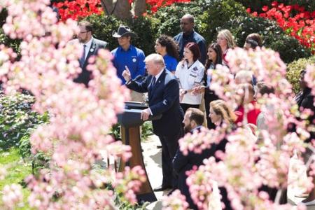 Das Weiße Haus wird von mehreren Gärten umgeben, darunter: Der Nordrasen des Weißen Hauses, der Südrasen, der White House R...