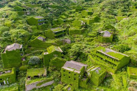 Auf der chinesischen Insel Shengshan, unmittelbar vor der Küste Shanghais, hat die Natur wieder das Ruder übernommen. Noch v...