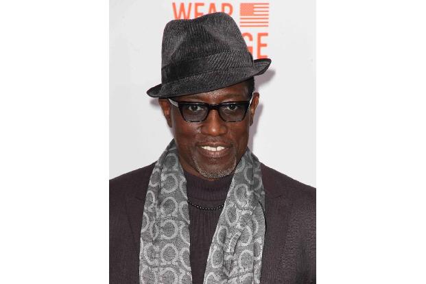 ...Wesley Snipes? Der Schauspieler wurde 2010 nach zwei Jahren Haft wegen Steuerhinterziehung entlassen. Zwischen 1999 und 2...