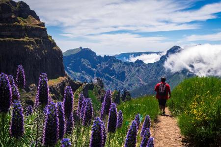 Ein Anblick, den man so schnell nicht vergisst: Madeira, die Blumeninsel, verzaubert ihre Besucher und darf sich ab sofort 