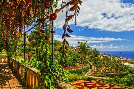 Im Botanischen Garten in Funchal können Besucher die Blumenpracht am eindrucksvollsten bewundern.