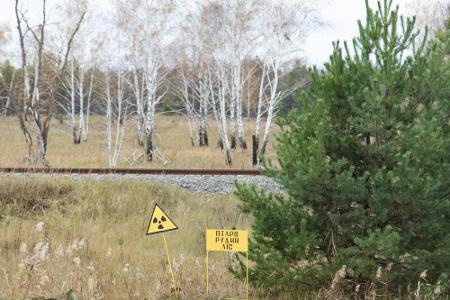 Die Auswirkungen des Unglücks trafen natürlich auch Flora und Fauna. Innerhalb weniger Wochen gingen sämtliche Kiefern der U...