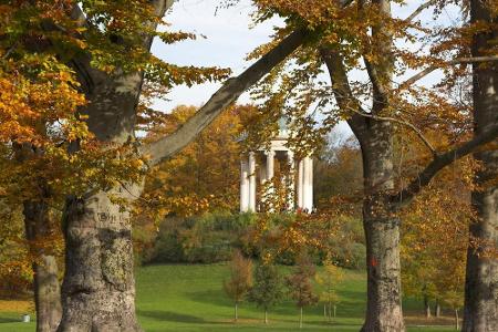 Wer nicht unbedingt Pilze suchen will, dennoch aber Lust auf einen Spaziergang hat, der geht in den Englischen Garten. Die b...