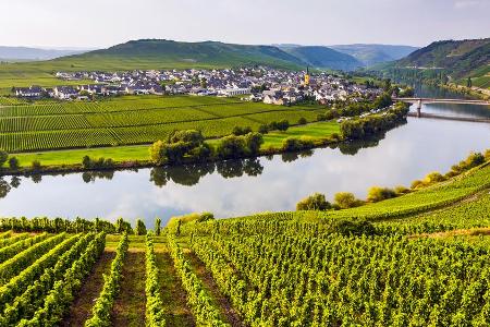 Die Mosel gehört zu den ältesten Weinregionen Deutschlands