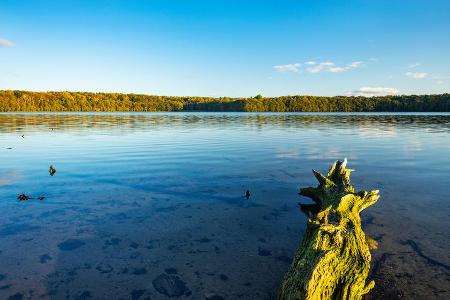 Der Müritz-Nationalpark lockt mit einer grandiosen Landschaft