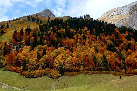 Auch das Karwendel-Gebirge ist ein wahrer Touristenmagnet im Herbst, vor allem der Große und Kleine Ahornboden. Diese Gebiet...