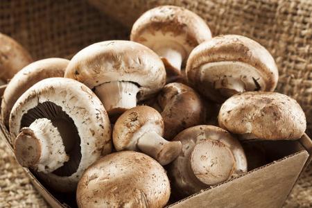 Pilze wie Champignons können Sie ebenfalls einfrieren. Schneiden Sie nach dem Säubern die Stiel-Enden ab, vierteln Sie die P...