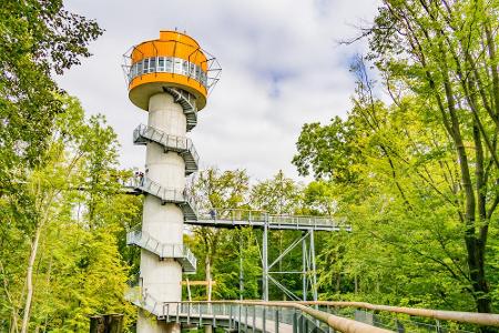 Schon mal was vom Baumkronenpfad im Nationalpark Hainich in Thüringen gehört? Dann wird es höchste Zeit, dem größten zusamme...