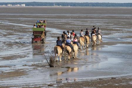 Unser nächstes Schutzgebiet führt uns an die Ostsee. Das Hamburgische Wattenmeer ist ein echtes Paradies für Tier- und Pflan...