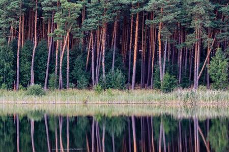 Im selben Bundesland liegt aber auch der größte deutsche Waldnationalpark. 107 Seen und 400 Moore erstrecken sich auf über 1...