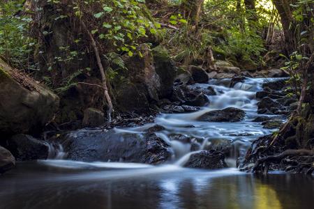 Der Nationalpark Hunsrück-Hochwald beansprucht gleich zwei Bundesländer: Rheinland-Pfalz und Saarland. Er ist der jüngste un...