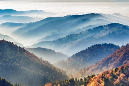 Der Nationalpark Schwarzwald ist alles andere als düster. Er steht auf den ältesten Mittelgebirgsformationen Europas und loc...