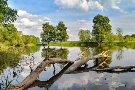 Grün, grüner, Unteres Odertal - der Nationalpark liegt in Brandenburg und umfasst eine Fläche von 10.323 Hektar. Illustre Ge...