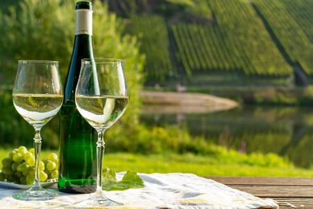 Der Riesling gehört zu den typischen Trauben im Mosel-Gebiet