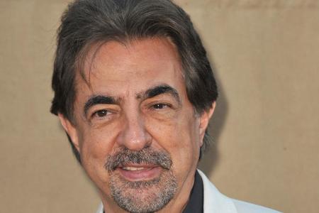 Mittlerweile hat Joe Mantegna gewissermaßen die Seiten gewechselt und ermittelt in dem Serien-Hit 