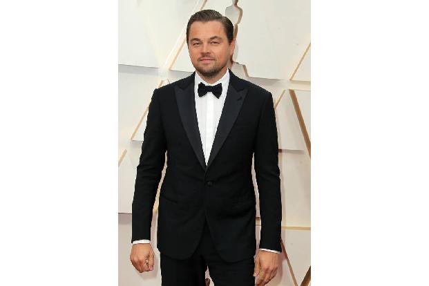 Leonardo DiCaprio wiederum hat sich mit seiner bescheiden nach ihm selbst getauften Leonardo DiCaprio Foundation dem Umwelts...