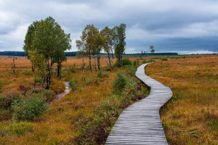 Für unerfahrene Wanderer ist der Eifelsteig zu empfehlen. Der 313 Kilometer lange Weg ist gut ausgeschildert und führt einma...