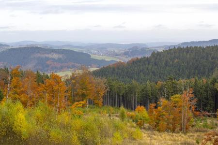 Anspruchsvoll ist der Uplandsteig, ein 66 Kilometer langer Rundweg in Nordhessen. Ganze 1.480 Höhenmeter müssen Gipfelstürme...