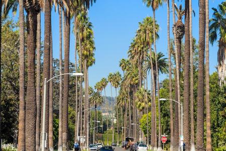 Beverly Hills hat die wohl berühmteste Postleitzahl der Welt: 90210. Die Stadt im Los Angeles County ist aber auch für ihre ...