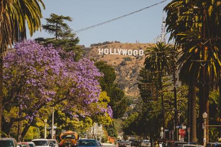 Direkt nebenan befinden sich die Hollywood Hills - die dank des Hollywood-Zeichens so gut wie jeder kennt. Wer hier zu Hause...