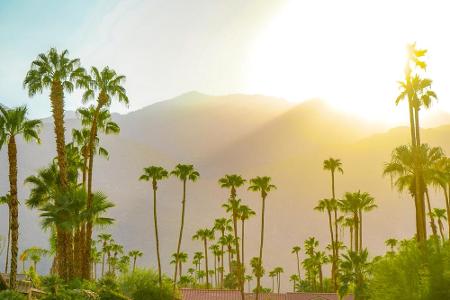 Palm Springs im Süden Kaliforniens war bei den Stars des 