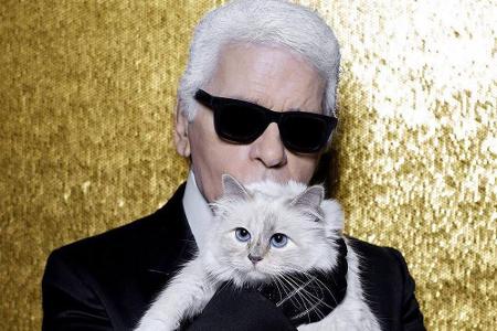 Seine weiße Birma-Katze Choupette bekam Karl Lagerfeld 2011 von Model Baptiste Giabiconi geschenkt. Nach Lagerfelds Tod im F...