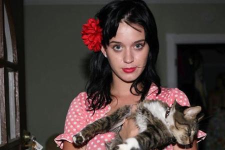 Sängerin Katy Perry ist ein absoluter Katzen-Fan. Vor knapp drei Monaten musste sie sich schweren Herzens von Kitty Purry ve...