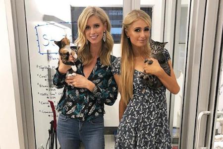 Paris Hilton und ihre Schwester Nicky Rothschild sind beide große Hunde- und Katzenliebhaberinnen. Gemeinsam veranstalteten ...