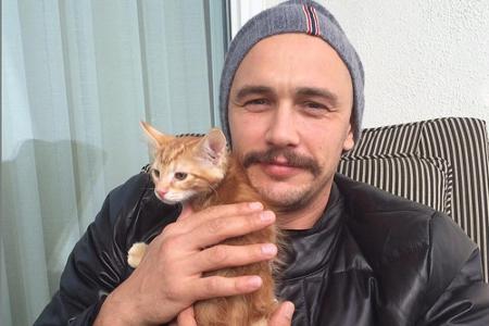 US-Schauspieler James Franco mag ein harter Kerl sein, beim Anblick eines kleinen Kätzchens wird aber auch er plötzlich ganz...