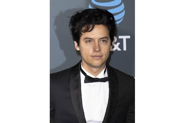 ...Cole Sprouse gespendet hat? Der 'Riverdale'-Star war nämlich in Santa Monica in Gewahrsam genommen worden, nachdem er auf...