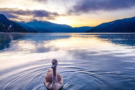 Der Millstätter See in Kärnten wirkt auf seine Besucher sehr idyllisch, da er durch die umliegenden Nockberge eine besondere...